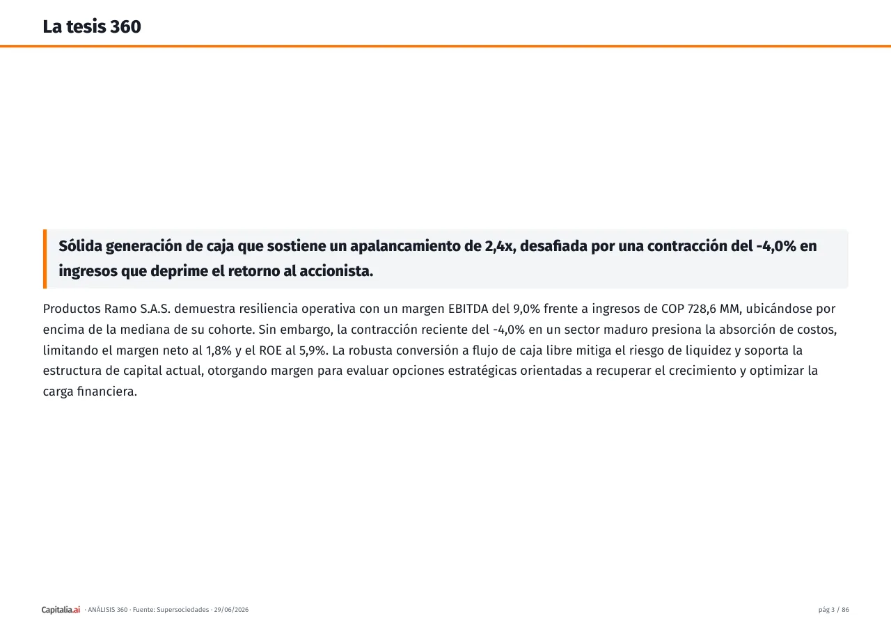 Página 4 del ejemplo