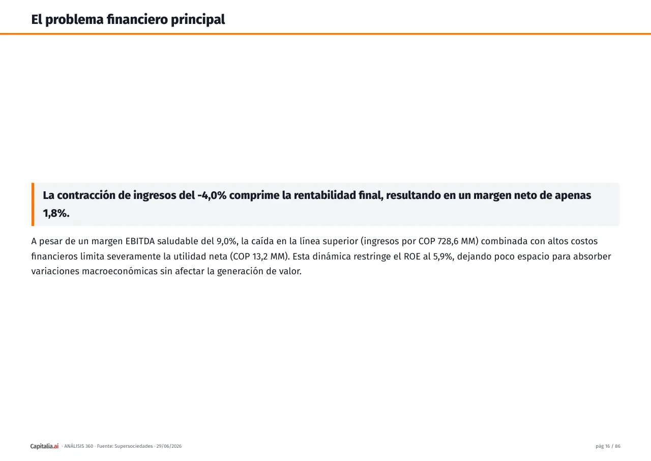 Página 17 del ejemplo