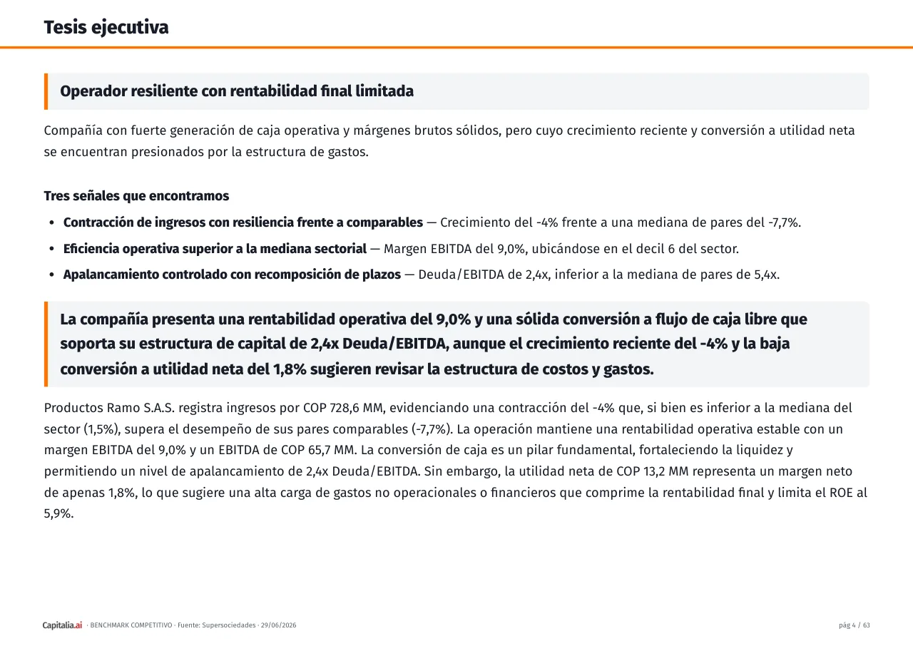 Página 5 del ejemplo