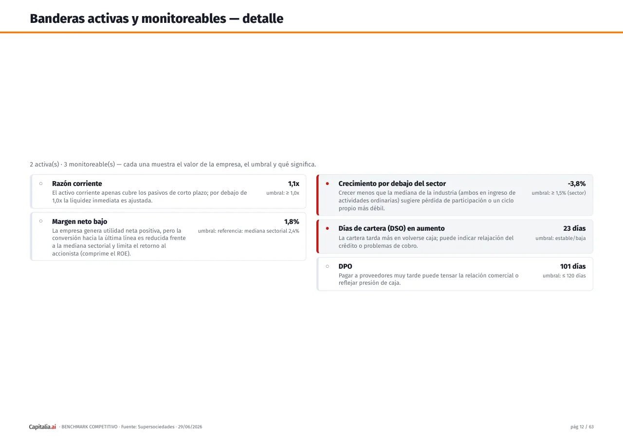 Página 13 del ejemplo
