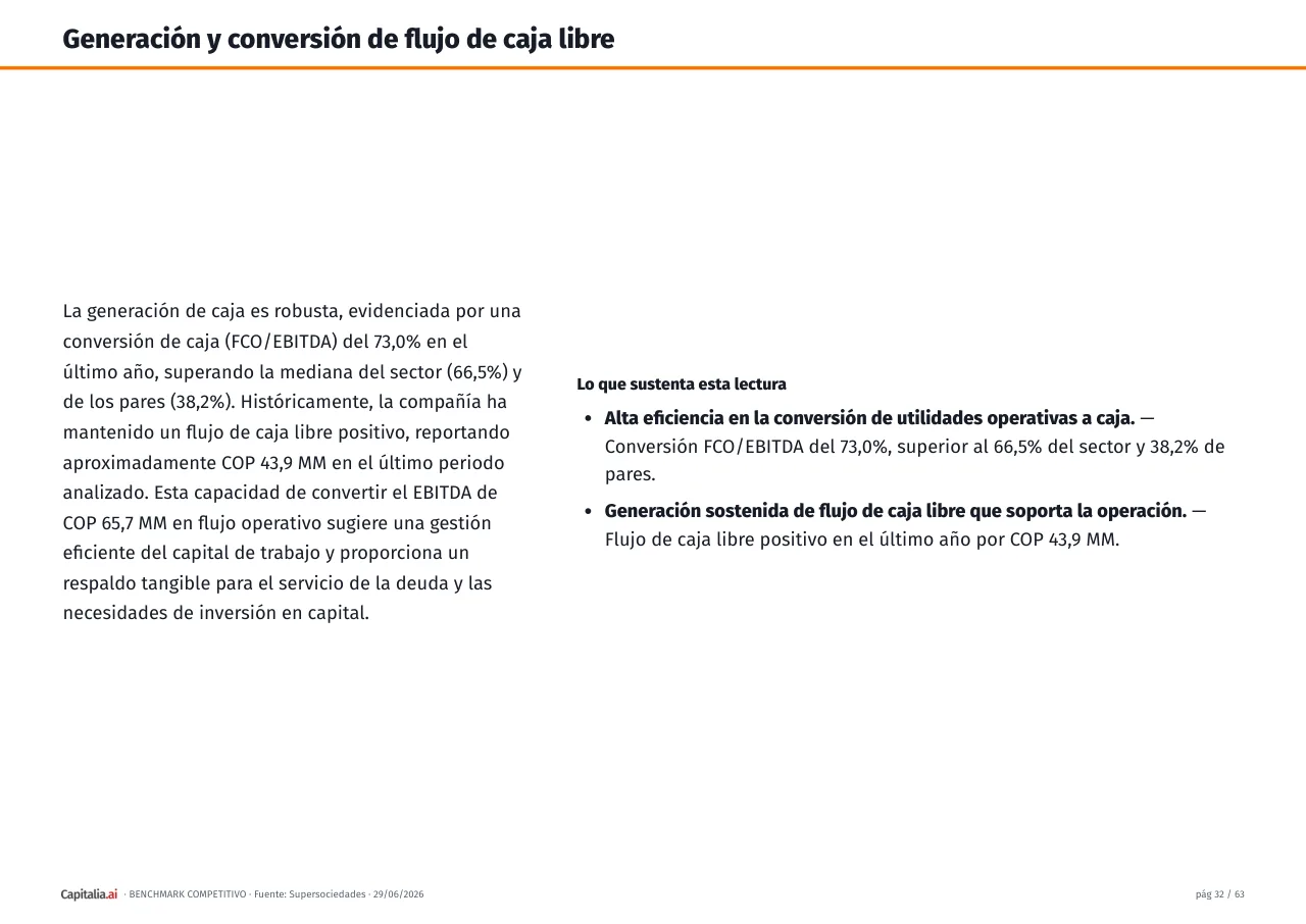 Página 33 del ejemplo